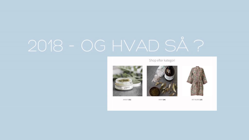 Blo-2018-og-hvad-så?